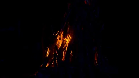 Fire flame burning on night of camping  Stock Footage 259726550