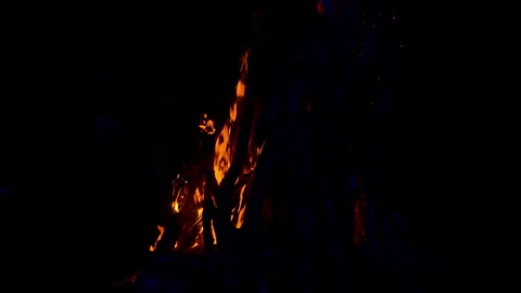 Fire flame burning on night of camping  Stock Footage 259726575