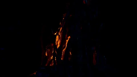 Fire flame burning on night of camping  Stock Footage 259726595