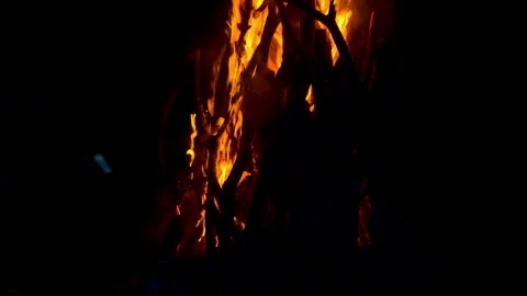 Fire flame burning on night of camping  Stock Footage 259726799
