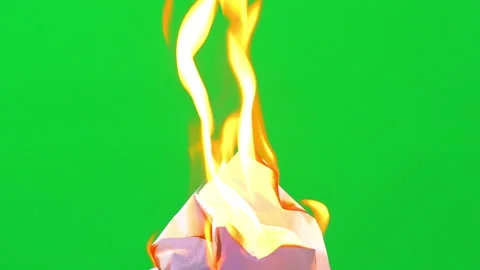 Fire flame burning paper on green screen background Vídeos de archivo 239477212