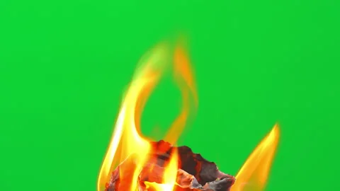 Fire flame burning paper on green screen background Stock Footage 239481140