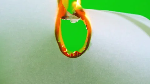 Fire flame burning paper on green screen background Stock-Footage 242276212