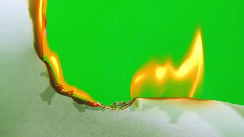 Fire flame burning paper on green screen background Stock-Footage 242283768