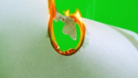 Fire flame burning paper on green screen background Stock Footage 242300351
