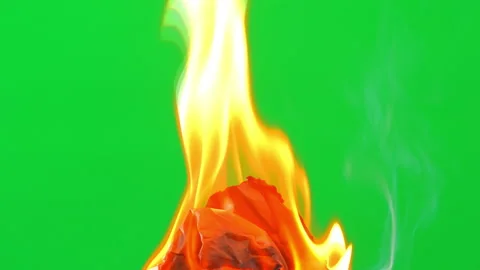Fire flame burning paper to show green screen background Stock Footage 239472356
