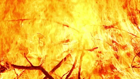 Fire Flame Burning Slow Motion Stock Footage 130298601