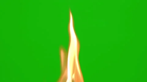 Fire flame burning white paper on green screen background 스톡 동영상 224009516