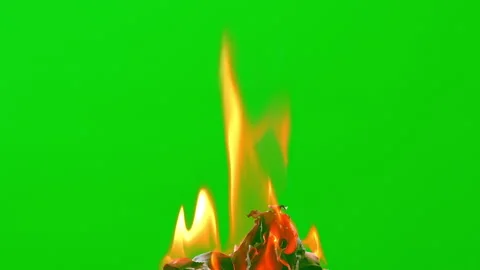 Fire flame burning white paper on green screen background Stock Footage 239568266