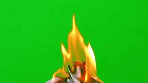 Fire flame burning white paper slow motion on green screen background Vídeos de archivo 239571270
