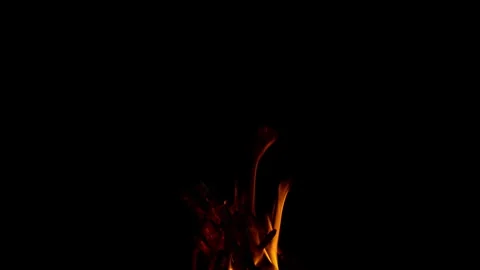 Fire flame burning wood on black screen background of slow motion video view Stock Footage 242836503
