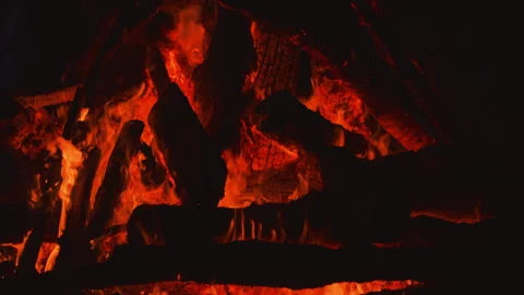 Fire flame burning wood on camping in night background Stock Footage 256305541