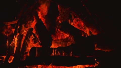 Fire flame burning wood on camping in night background Stock Footage 256305784