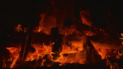 Fire flame burning wood on camping in night background Stock Footage 256307789