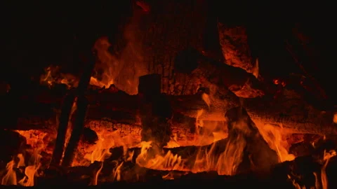 Fire flame burning wood on camping in night background Stock Footage 256307902