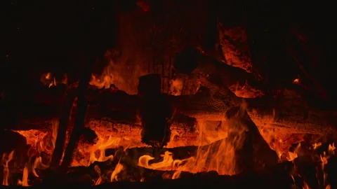 Fire flame burning wood on camping in night background Stock Footage 256307906