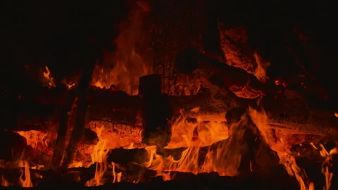 Fire flame burning wood on camping in night background Stock Footage 256307983