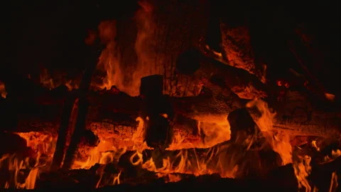 Fire flame burning wood on camping in night background Stock Footage 256356672