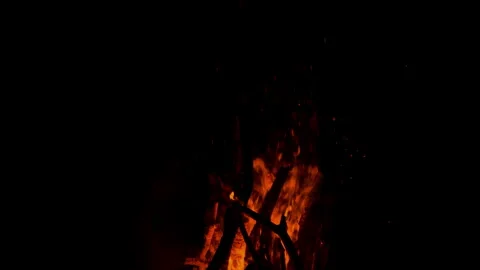 Fire flame burning wood on camping in night background Stock Footage 256356759