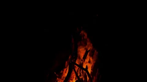 Fire flame burning wood on camping in night background Stock Footage 256356855