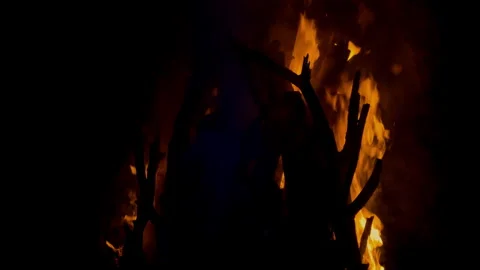 Fire flame burning wood on camping in night background Stock Footage 256357510