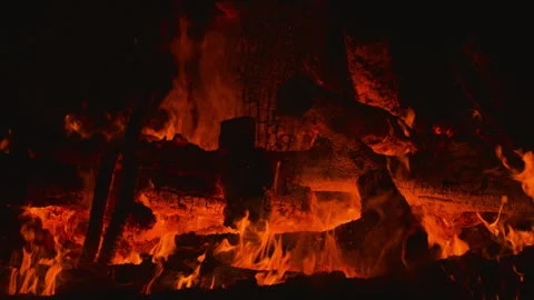 Fire flame burning wood on camping in night background Stock Footage 256360066