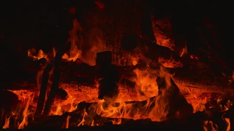 Fire flame burning wood on camping in night background Stock Footage 256360463