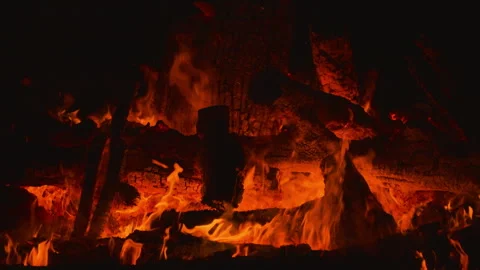 Fire flame burning wood on camping in night background Stock Footage 256360558