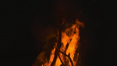 Fire flame burning wood on camping in night background Stock Footage 256360563