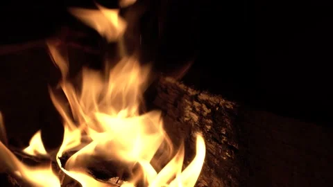 Fire flame on burning wood Stock Footage 223942950