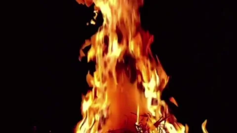 Fire Flame Campfire Burning Light Motion Stock Footage 346500956