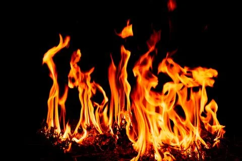 Fire Flame in dark background. Stock Photos