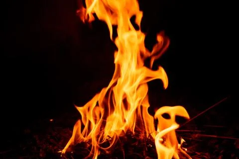 Fire flame on dark background. Stock Photos