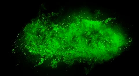 Fire flame explosion on black background 写真素材