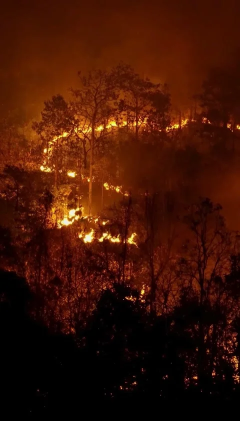 Fire, flame, fiery, hell, loop, slow, video Video stock 314618530