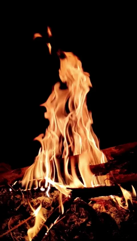 Fire, flame, fiery, hell, loop, slow, video Video stock 314618839