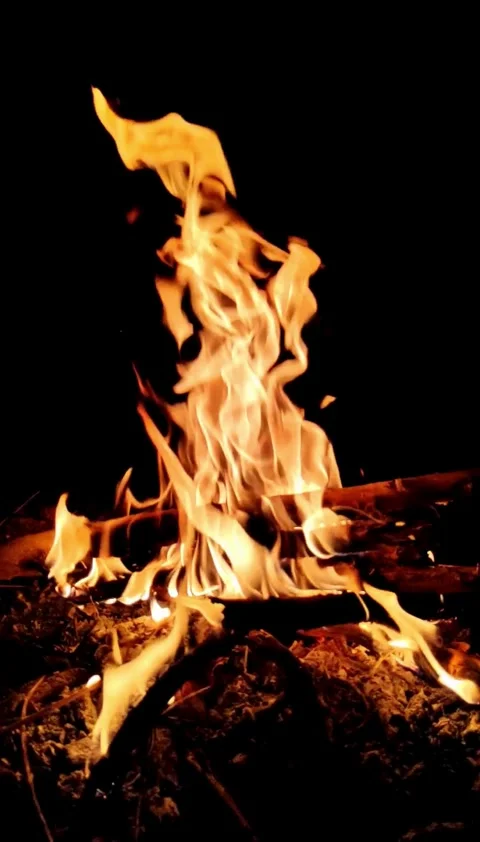 Fire, flame, fiery, hell, loop, slow, video Video stock 314618940