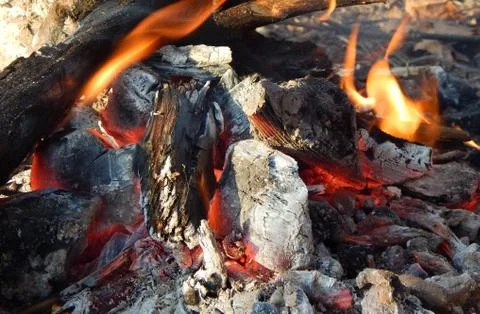 A fire, a flame of fire. Burnt wood logs. Smoking and charred logs. Stock Photos