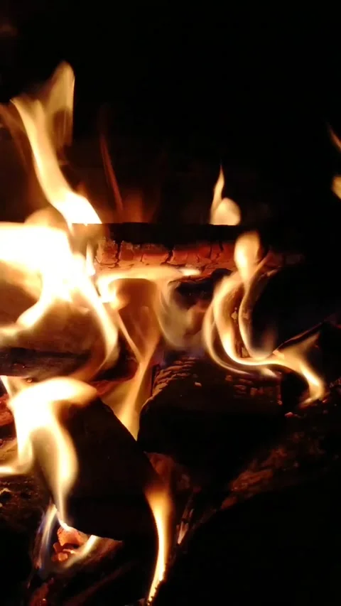 Fire flame in the fireplace. Stock Footage 220556790