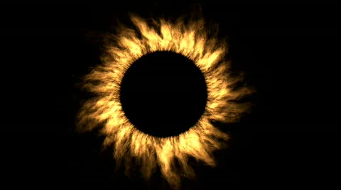 Fire flame Stock Footage 285067