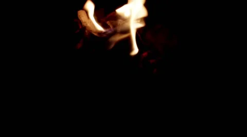 Fire flame Stock Footage 42719557