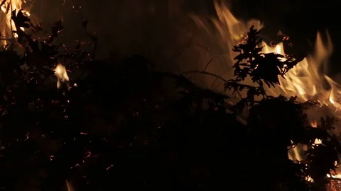 Fire, flame Stock Footage 100819653
