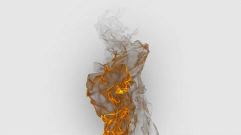 Fire flame. Stock Footage 146729508