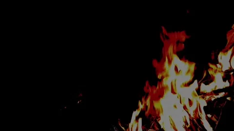 Fire flame Stock Footage 258527911