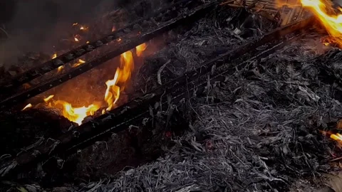 Fire flame Stock Footage 258528036