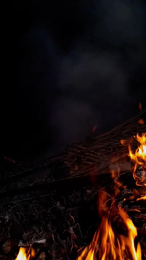 Fire flame Stock Footage 258528124