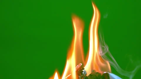Fire flame glowing and burning white paper on green screen background on slow Stock Footage 221597601