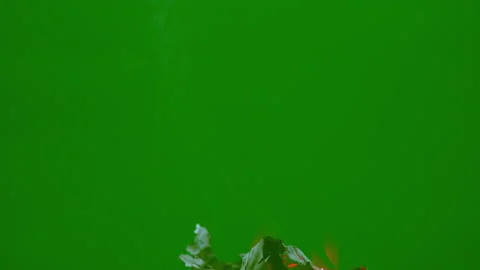 Fire flame glowing and burning white paper on green screen background on slow Stock Footage 221597656