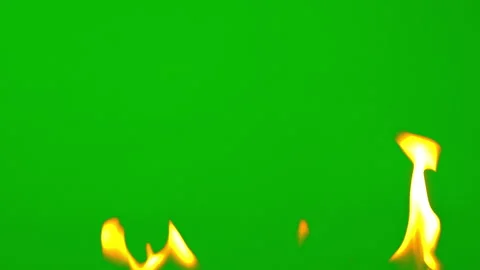 Fire flame glowing and burning on green screen background Stock Footage 239552772