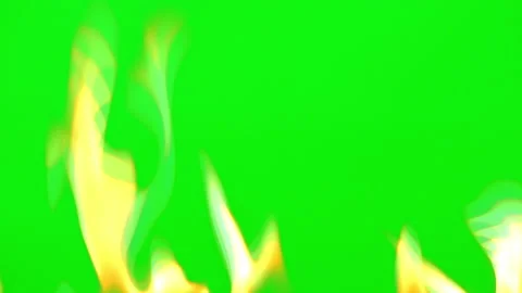 Fire flame glowing and burning on green screen background Vídeos de archivo 239553820